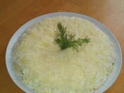 фотоотчет